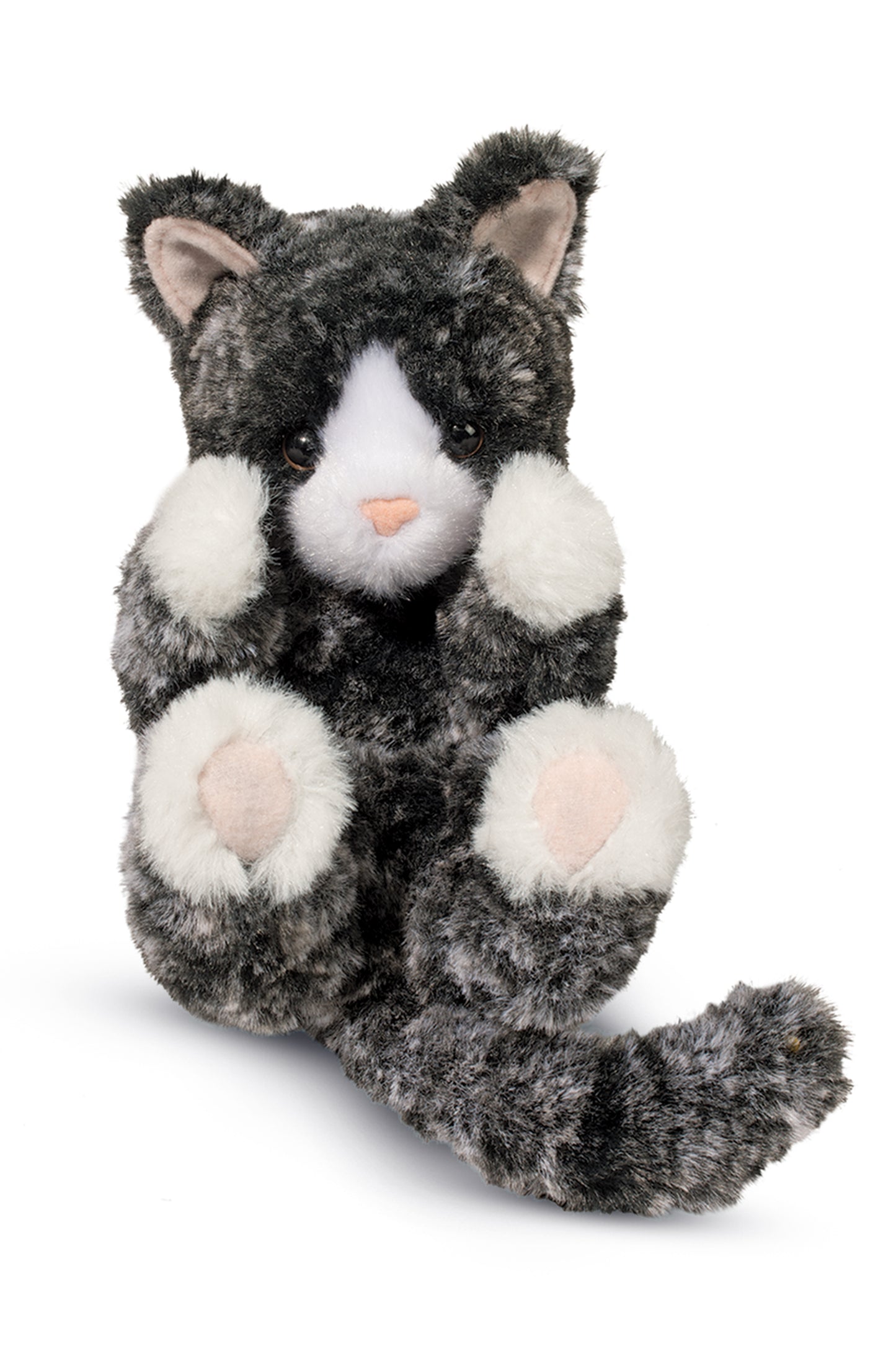 Black/White Kitten