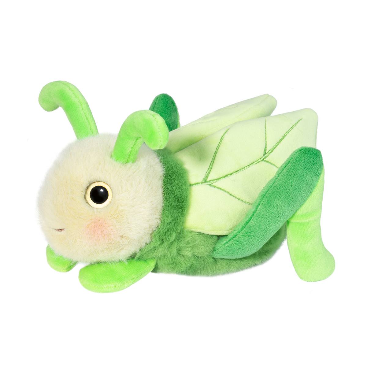 Kady the Grasshopper