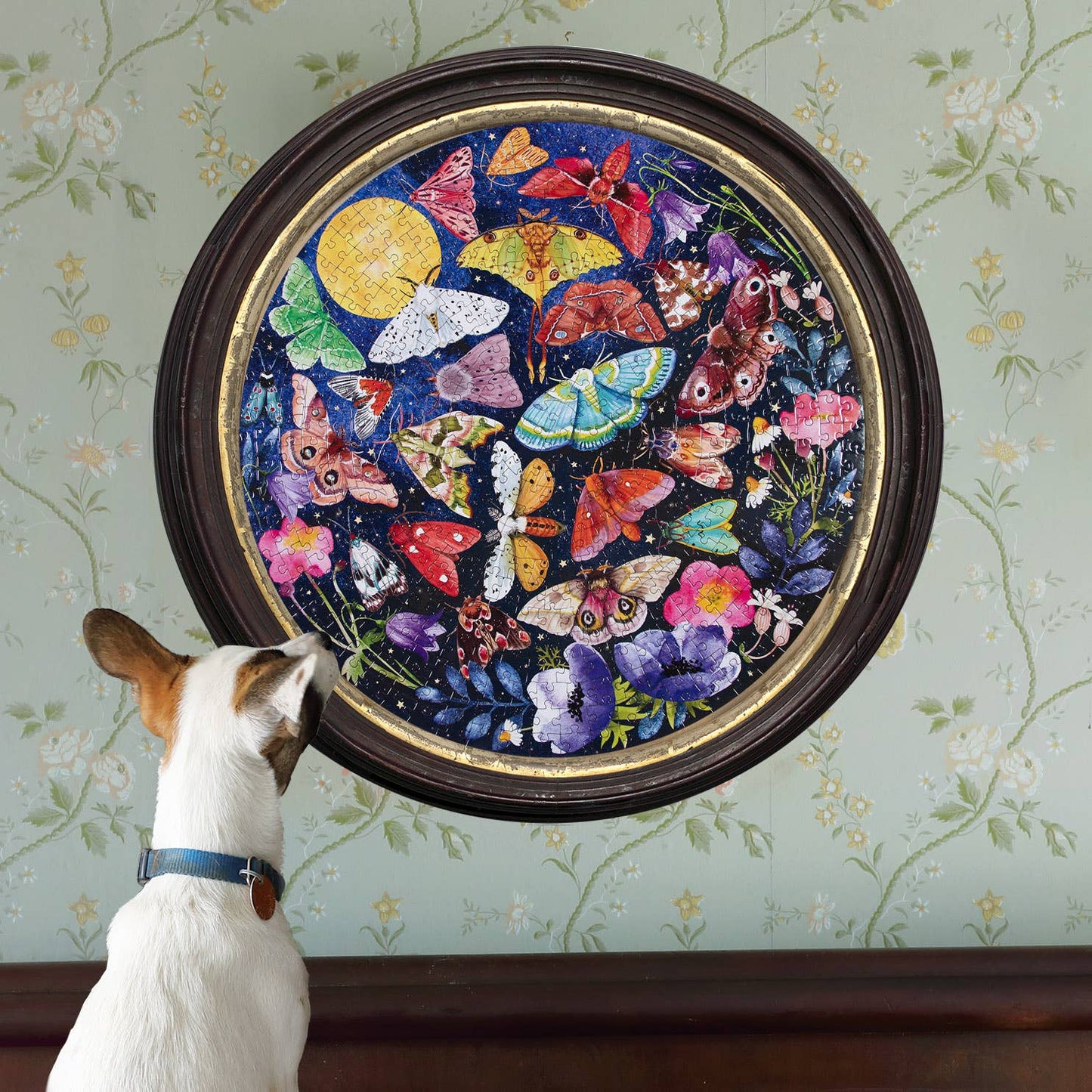 Moths 500 Piece Round Puzzle