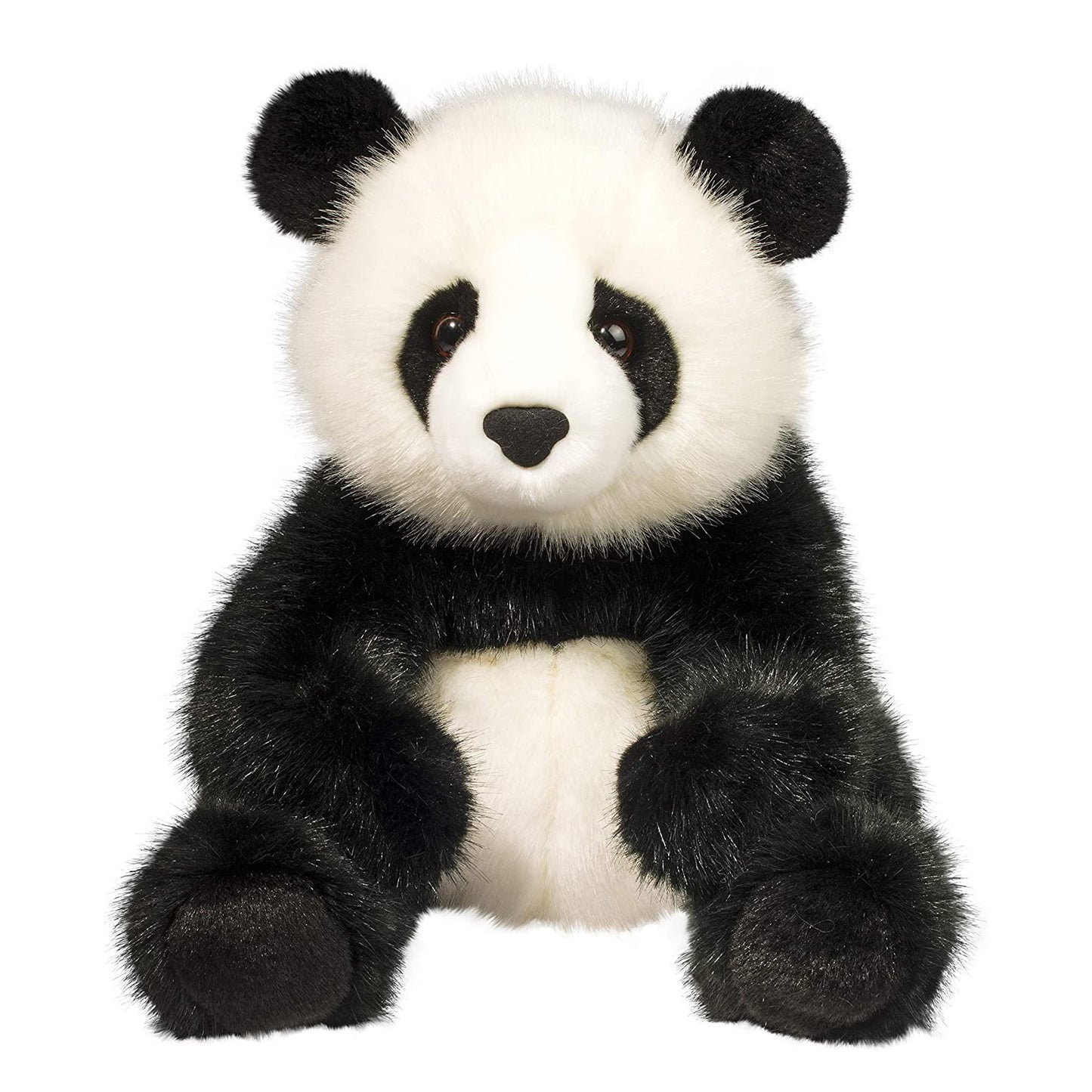 Paya Panda