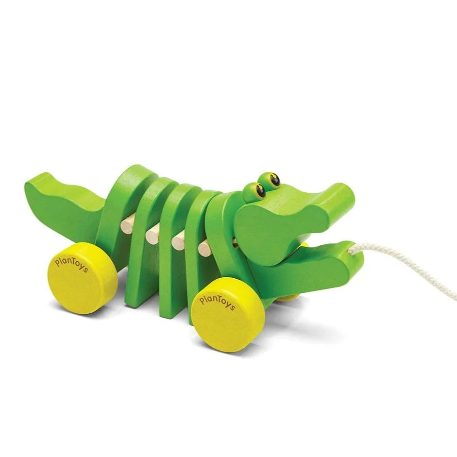 Dancing Alligator