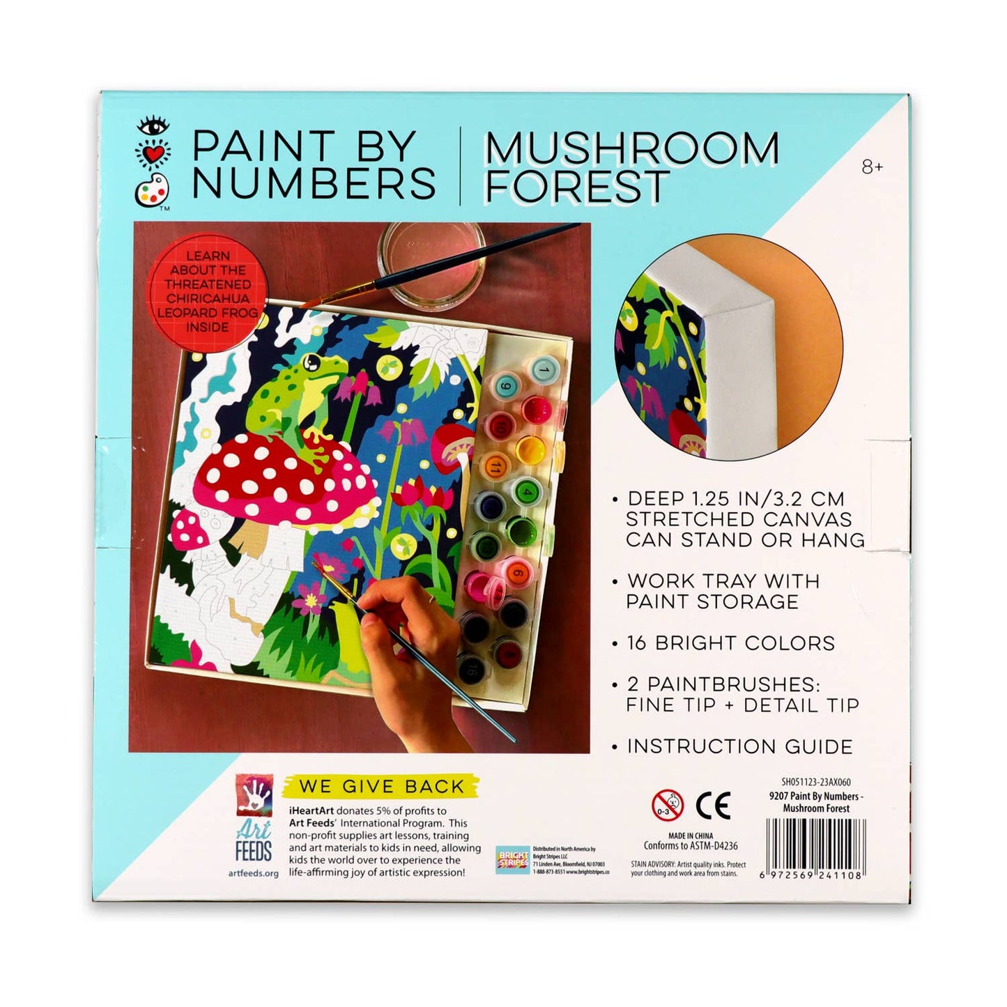 Paint By Numbers Frog & Mushroom
