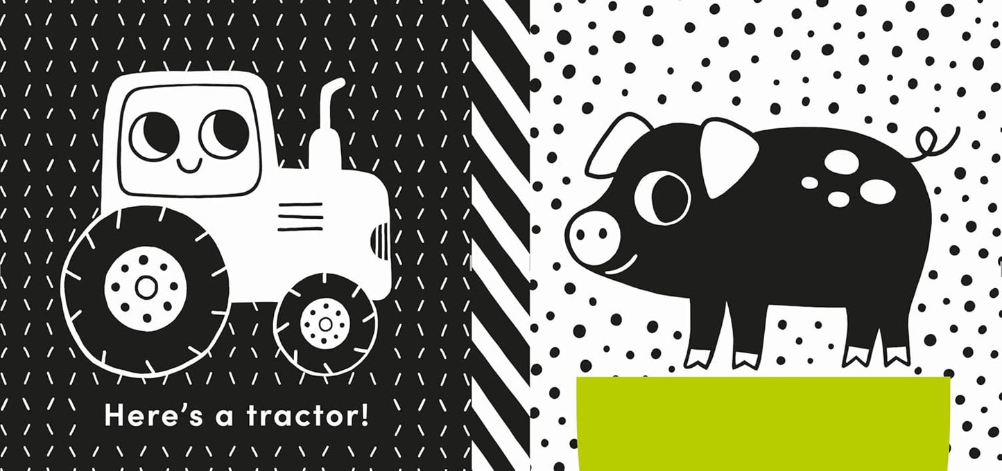 Baby's First Cloth Book: Cuddly Sheep Rag Book