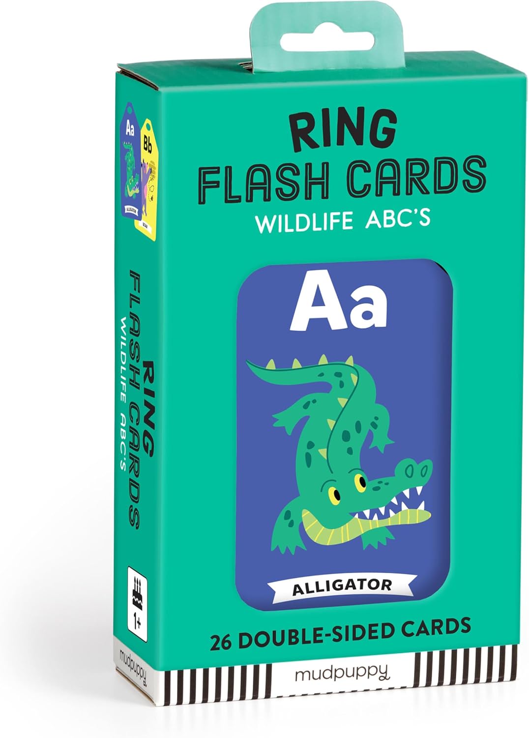 Ring Flash Cards