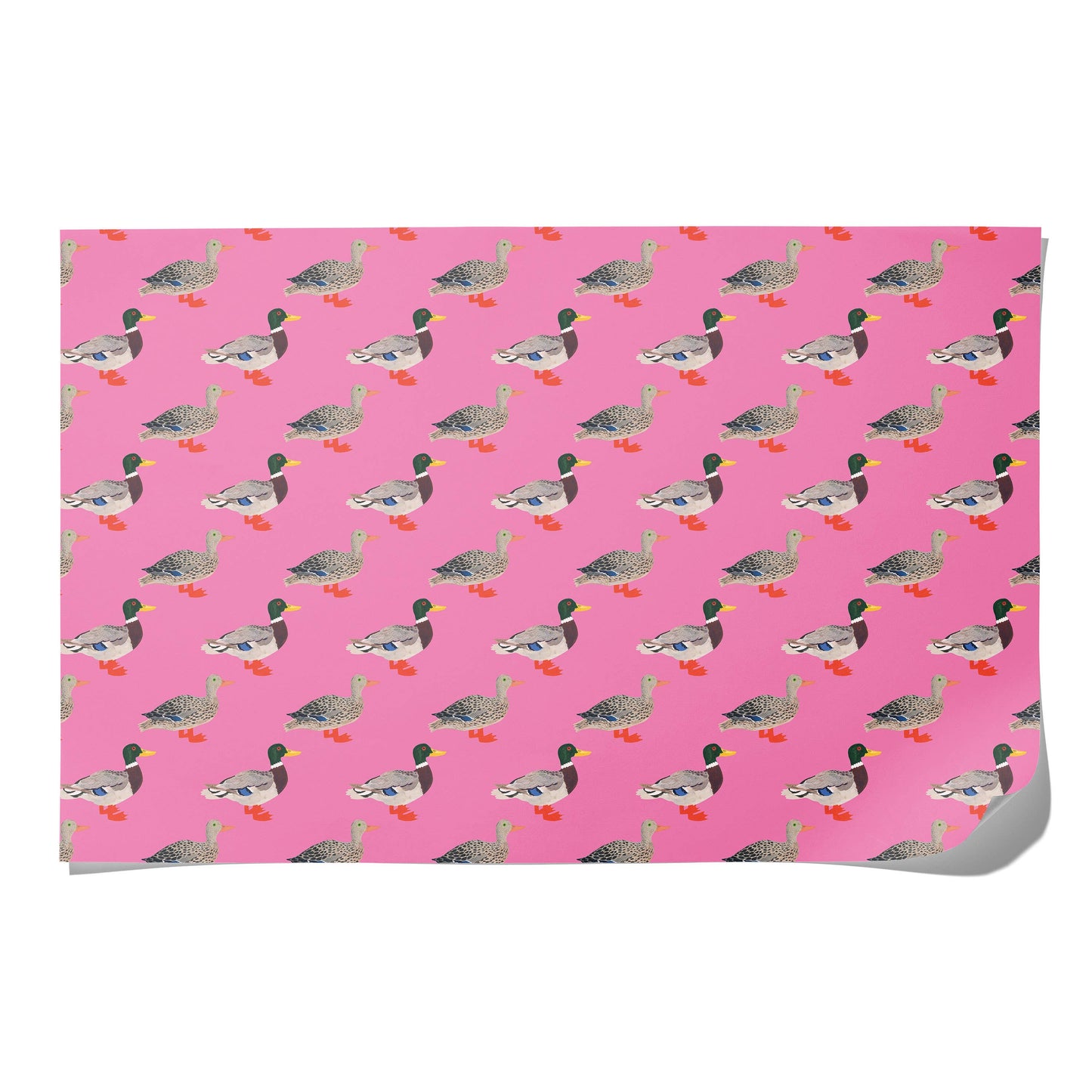 Quacky Birthday Wrapping Paper