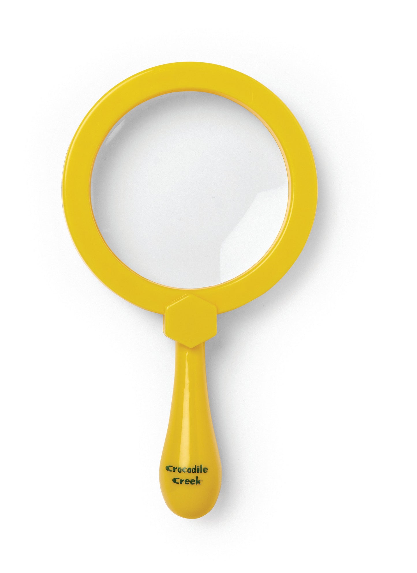 Magnifying Glass Backyard