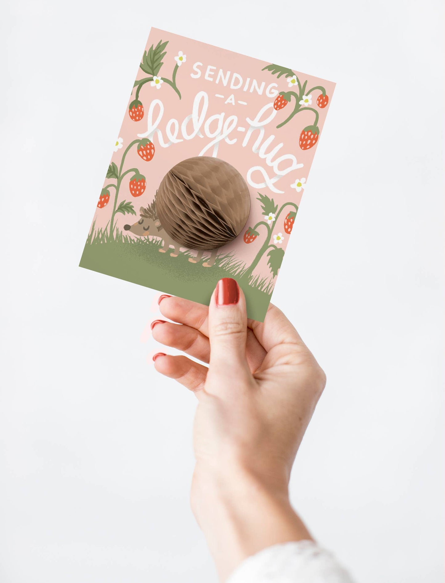 Pop-up Card - Hedgehug - Friendship/Encouragement