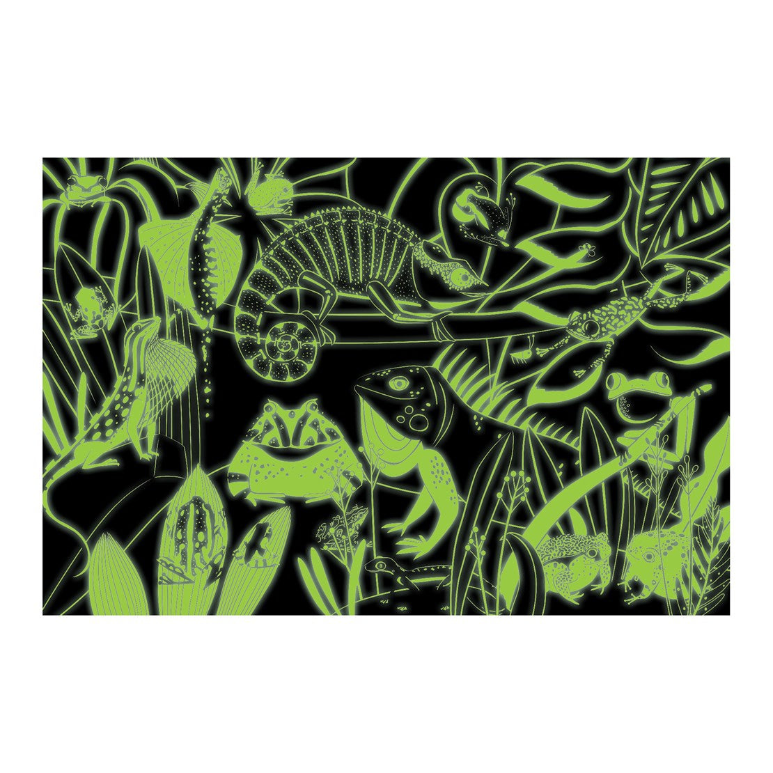 Frogs and Lizards Glow Puzzle