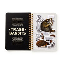 Trash Bandits