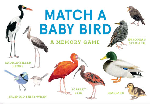 Match a Baby Bird Game