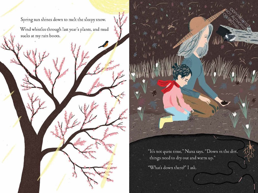 Up and Down in the Garden