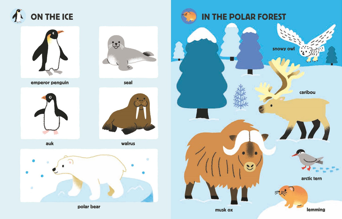My Big Book of Animals Sounds