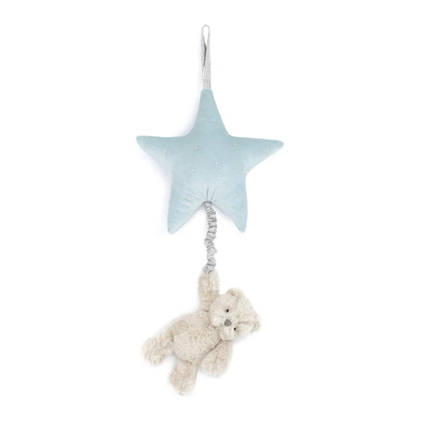 Musical Pull Toys