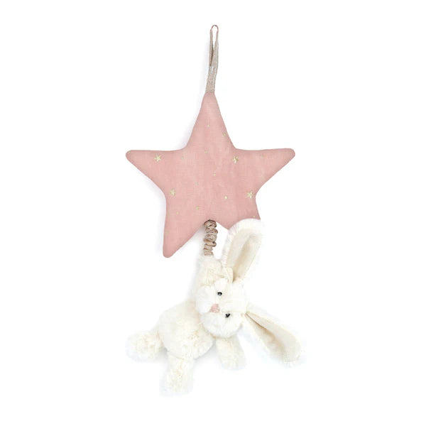 Musical Pull Toys