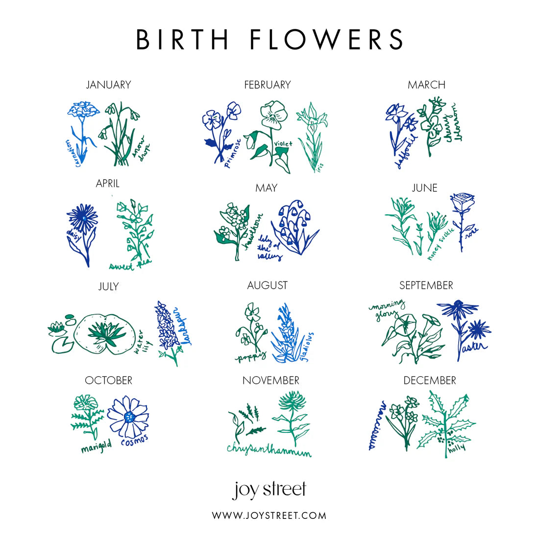 Birth Flowers Baby Bib