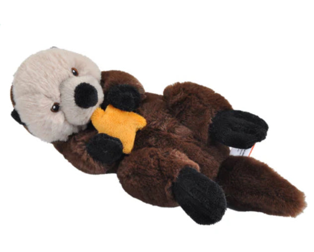 Mini Sea Otter