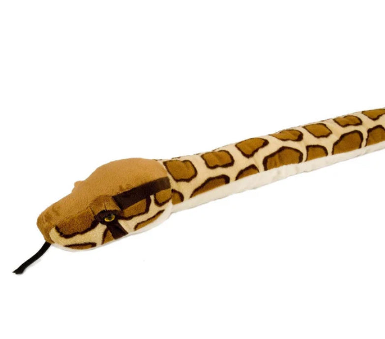 Burmese Python