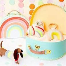 Large Rainbow Suitcase