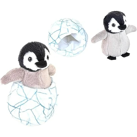 Hatchling Penguin