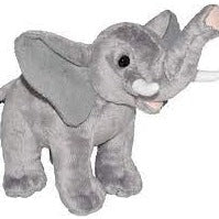 Wild Calls Elephant
