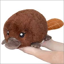 Squishable Platypus