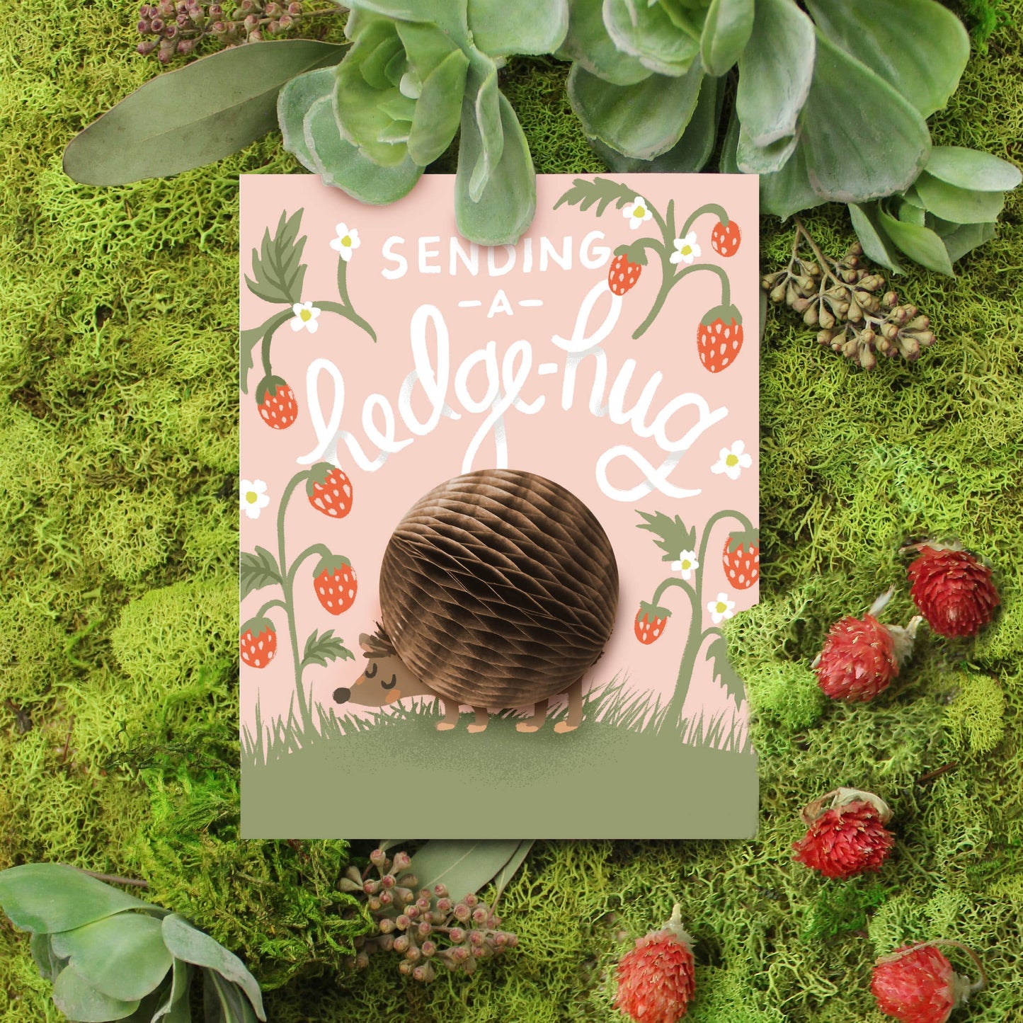 Pop-up Card - Hedgehug - Friendship/Encouragement