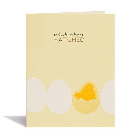 Baby Chick Card