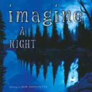 Imagine A Night