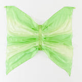 Willow in the Wind Wings