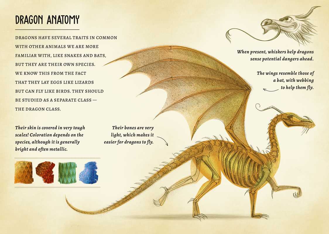My Little Box of Dragons