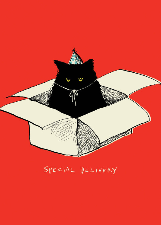 BIRTHDAY DELIVERY GREETING CARD POET AND PAINTER