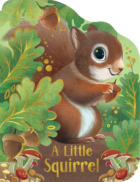 A Little Squirrel