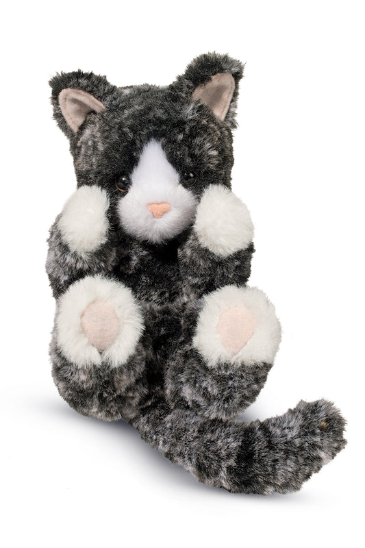 Black/White Kitten