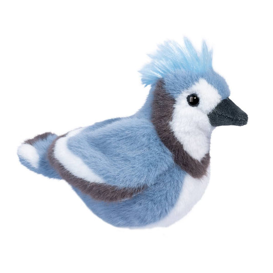 Denim the Blue Jay