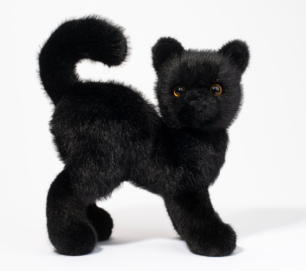 Scaredy Black Cat