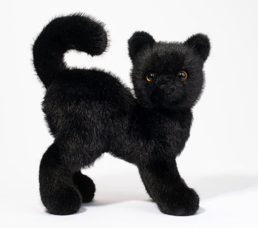 Scaredy Black Cat
