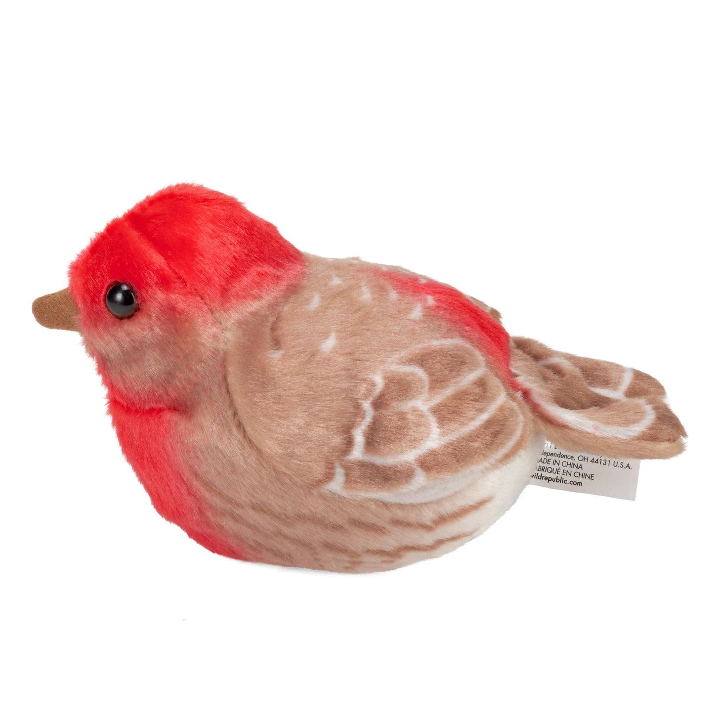 Audubon Birds House Finch