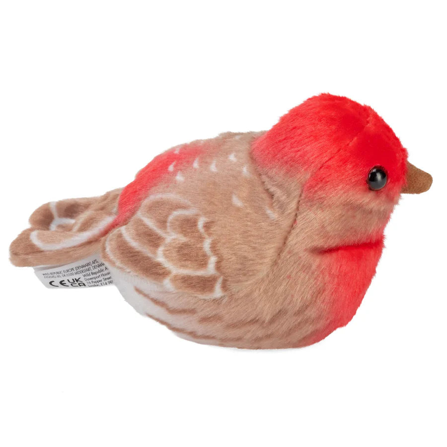 Audubon Birds House Finch
