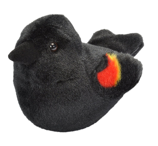 Audubon Birds Red Winged Blackbird