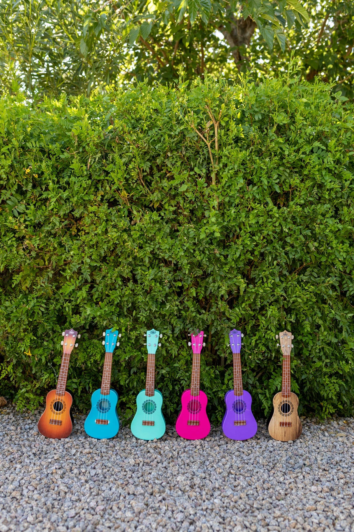 KaKo'o Ukulele