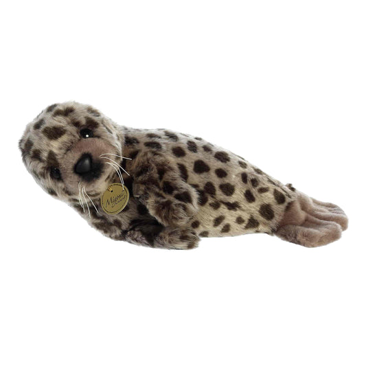 HARBOR SEAL