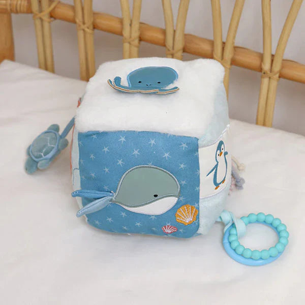 Ocean Activity Cube
