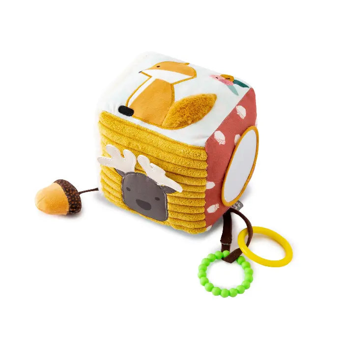 Forest Activity Cube