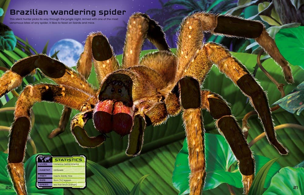 Build Your Own Deadly Animals : Usborne
