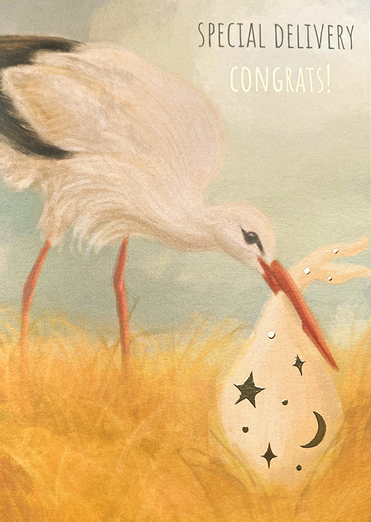 BABY STORK DELIVERY GREETING CARD JO COUCH