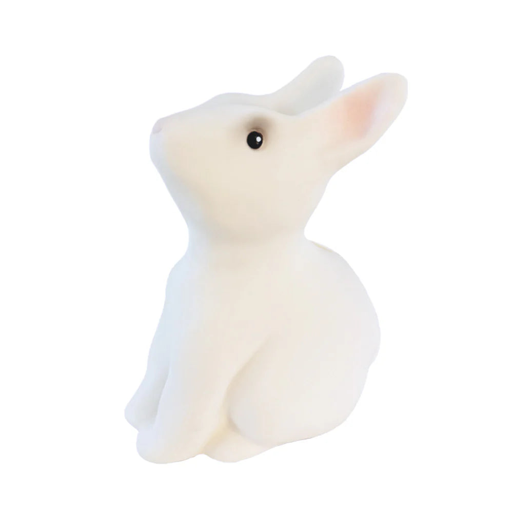 Rabbit Savings Bank