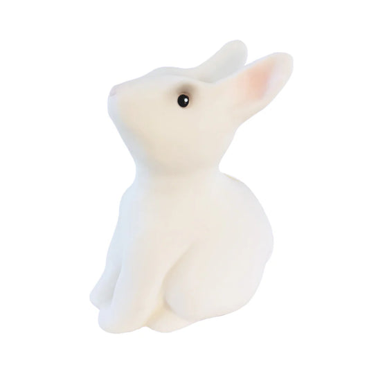 Rabbit Savings Bank