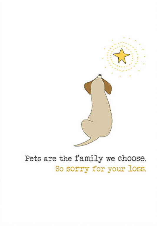 SYMPATHY DOG AND STAR  GREETING CARD DANDELION
