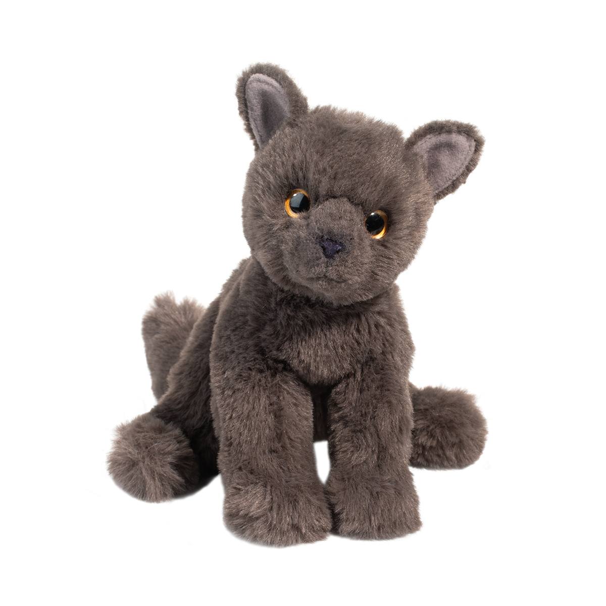 Colbie Grey Cat