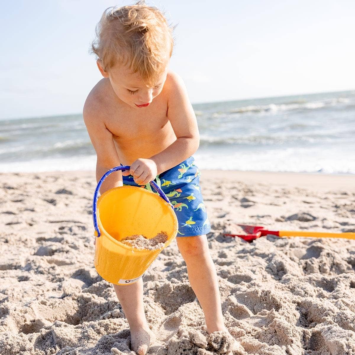 Sand & Snow Pail – 2.5L Heavy-Duty Bucket (Assorted Colors)